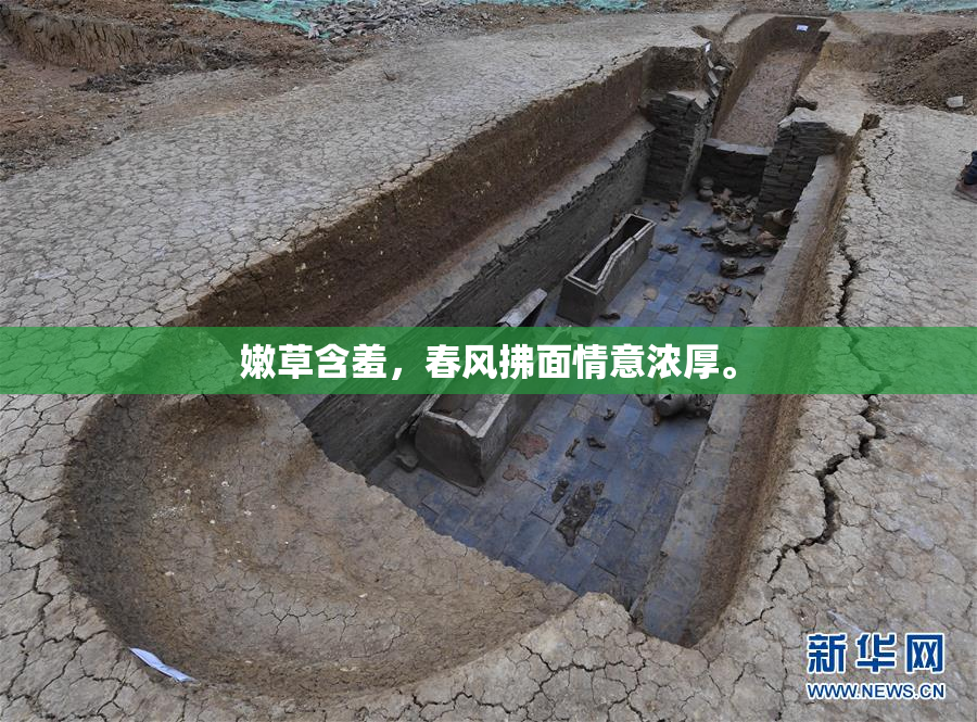 嫩草含羞，春风拂面情意浓厚。