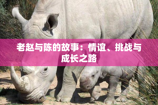 老赵与陈的故事：情谊、挑战与成长之路