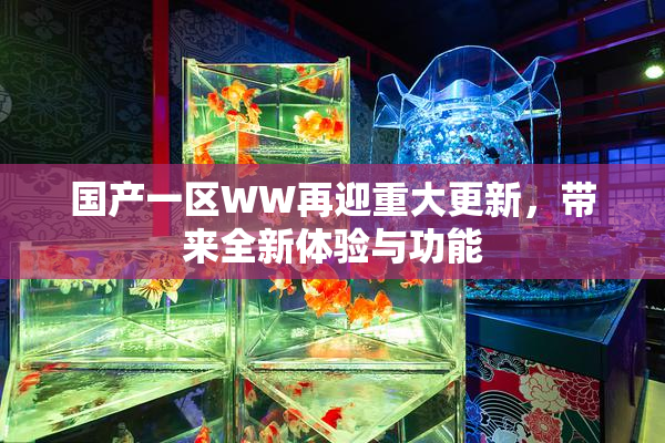 国产一区WW再迎重大更新，带来全新体验与功能