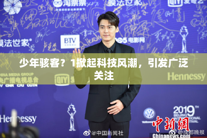 少年骇客？1掀起科技风潮，引发广泛关注