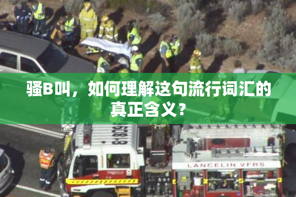 骚B叫，如何理解这句流行词汇的真正含义？
