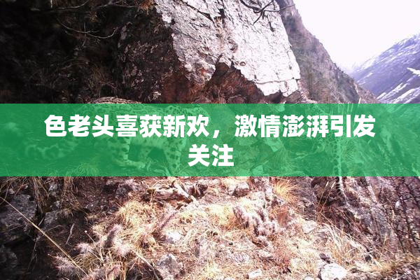 色老头喜获新欢，激情澎湃引发关注