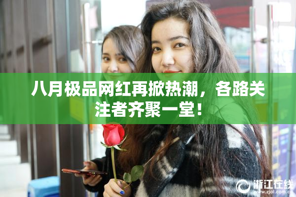 八月极品网红再掀热潮，各路关注者齐聚一堂！