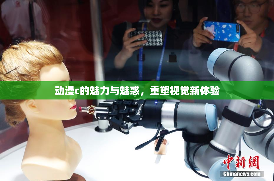 动漫c的魅力与魅惑，重塑视觉新体验