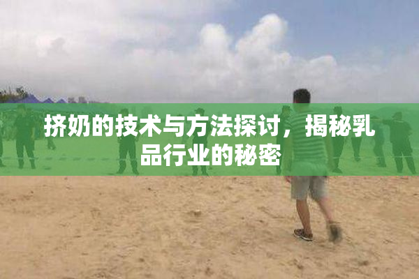 挤奶的技术与方法探讨，揭秘乳品行业的秘密