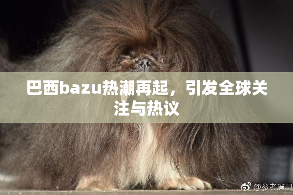 巴西bazu热潮再起，引发全球关注与热议