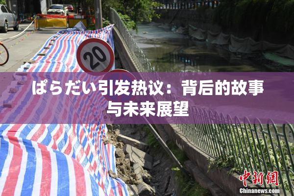 ぱらだい引发热议：背后的故事与未来展望