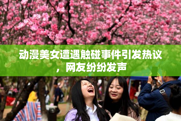 动漫美女遭遇触碰事件引发热议，网友纷纷发声