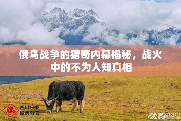 俄乌战争的猎奇内幕揭秘，战火中的不为人知真相