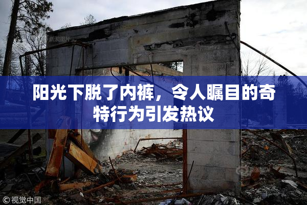 阳光下脱了内裤，令人瞩目的奇特行为引发热议
