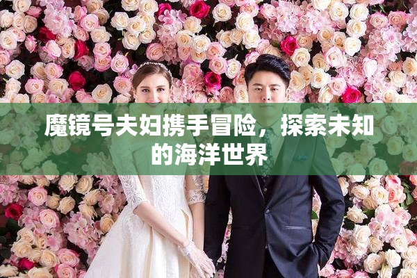 魔镜号夫妇携手冒险，探索未知的海洋世界