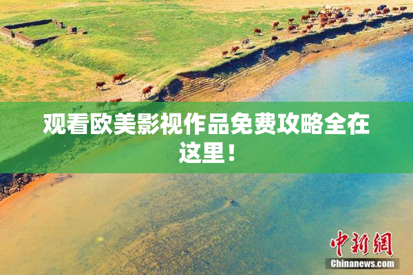 观看欧美影视作品免费攻略全在这里！