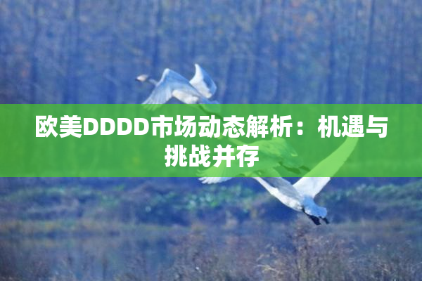 欧美DDDD市场动态解析：机遇与挑战并存