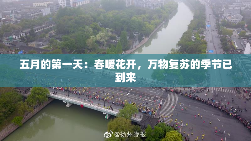 五月的第一天：春暖花开，万物复苏的季节已到来