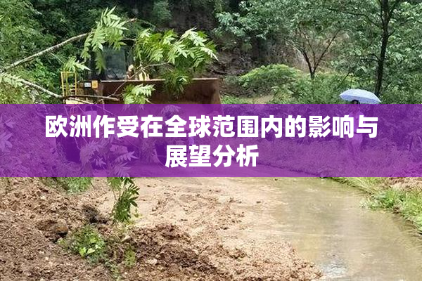 欧洲作受在全球范围内的影响与展望分析