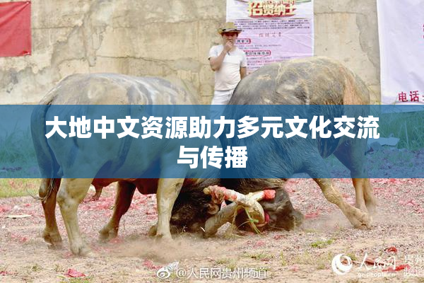 大地中文资源助力多元文化交流与传播