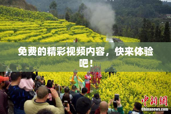 免费的精彩视频内容，快来体验吧！