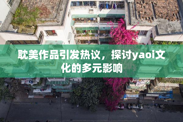 耽美作品引发热议，探讨yaoi文化的多元影响