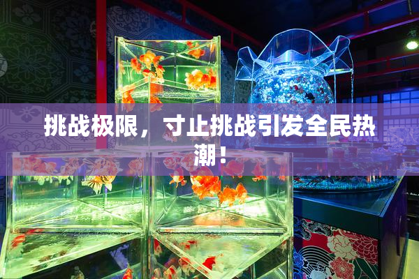 挑战极限，寸止挑战引发全民热潮！