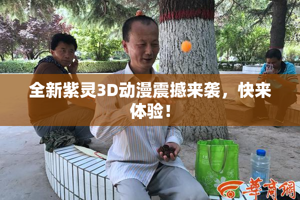 全新紫灵3D动漫震撼来袭，快来体验！
