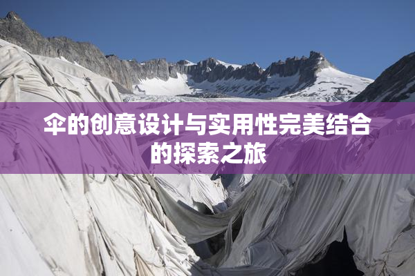 伞的创意设计与实用性完美结合的探索之旅