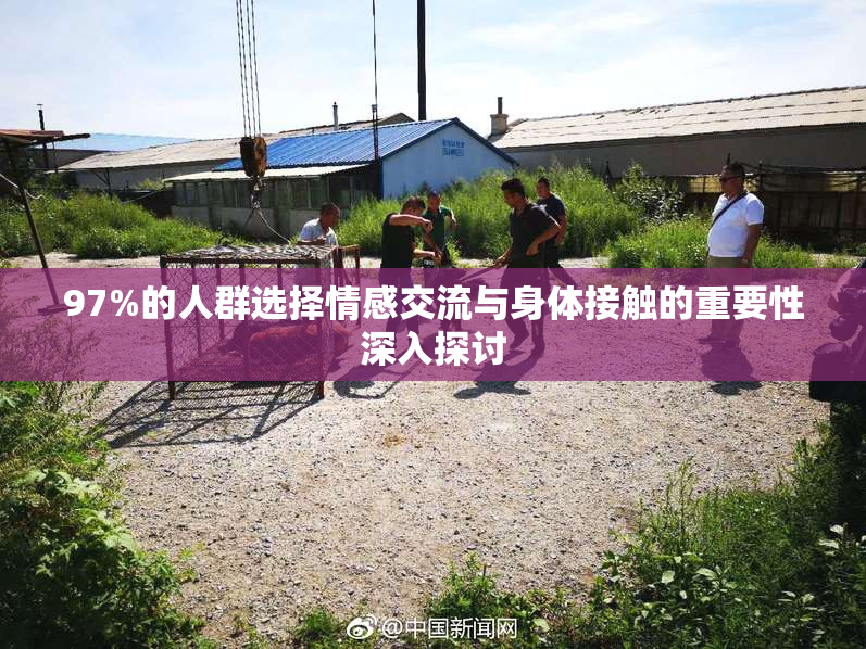 97%的人群选择情感交流与身体接触的重要性深入探讨