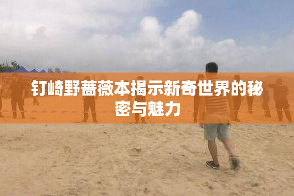 钉崎野蔷薇本揭示新奇世界的秘密与魅力