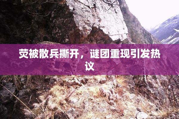 荧被散兵撕开，谜团重现引发热议