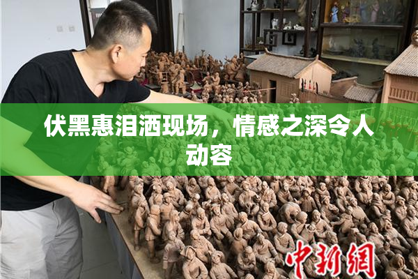 伏黑惠泪洒现场，情感之深令人动容
