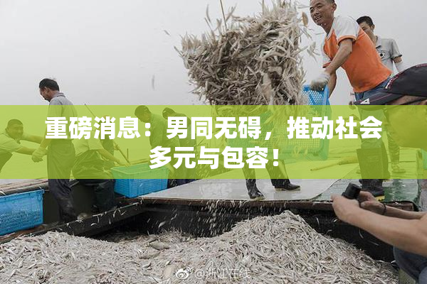 重磅消息：男同无碍，推动社会多元与包容！