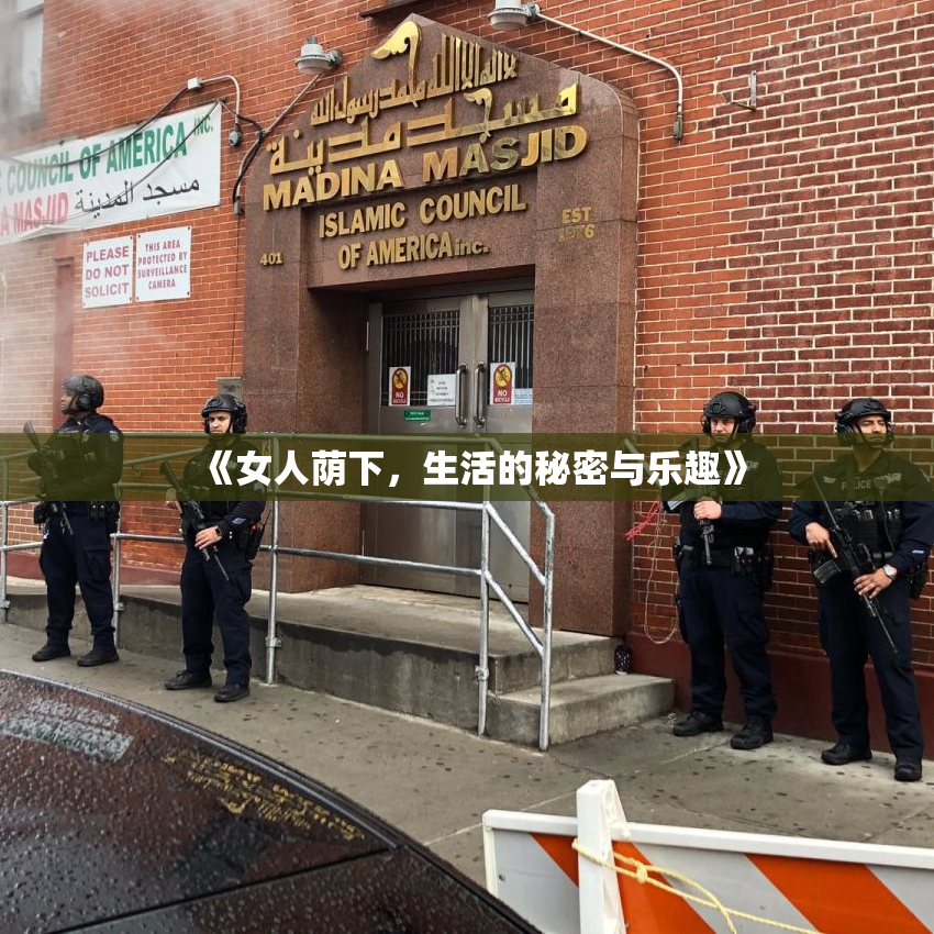 《女人荫下，生活的秘密与乐趣》