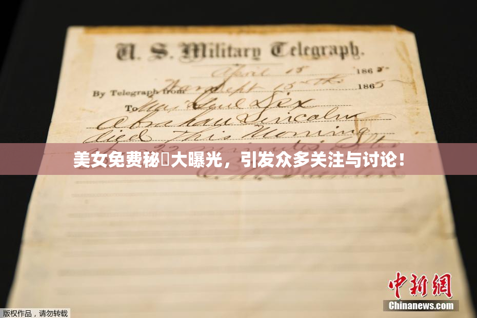 美女免费秘訣大曝光，引发众多关注与讨论！