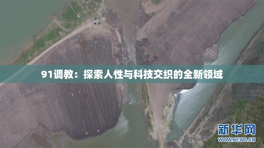 91调教：探索人性与科技交织的全新领域