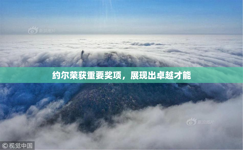 约尔荣获重要奖项，展现出卓越才能