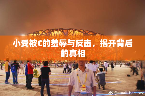 小受被C的羞辱与反击，揭开背后的真相