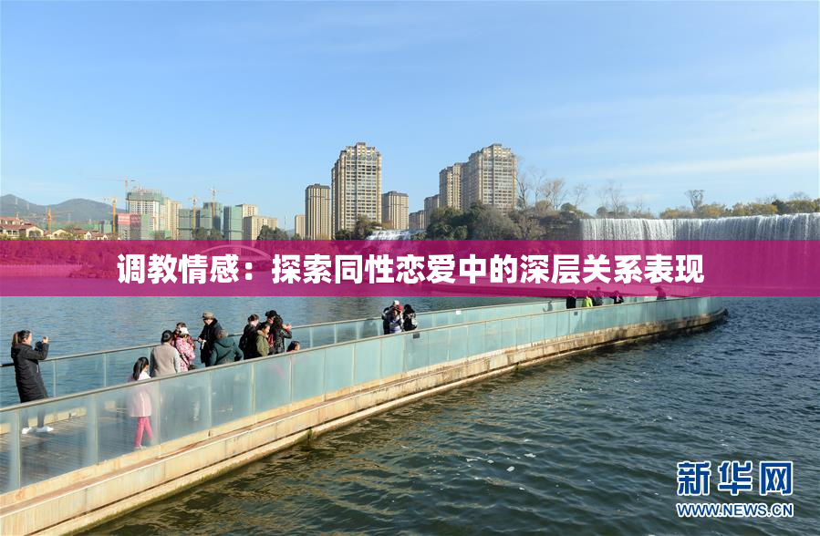 调教情感：探索同性恋爱中的深层关系表现