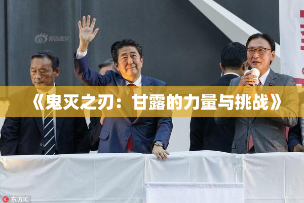 《鬼灭之刃：甘露的力量与挑战》