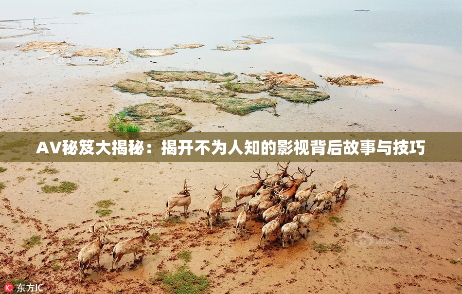 AV秘笈大揭秘：揭开不为人知的影视背后故事与技巧
