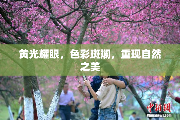 黄光耀眼，色彩斑斓，重现自然之美