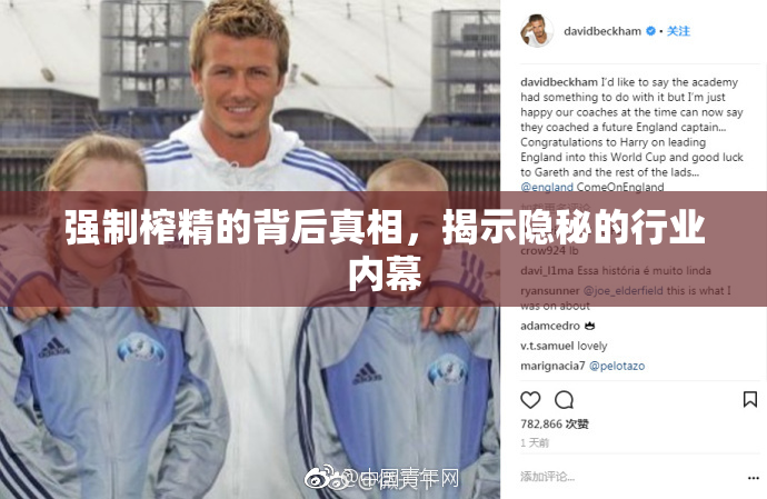 强制榨精的背后真相，揭示隐秘的行业内幕