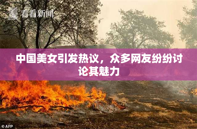 中国美女引发热议，众多网友纷纷讨论其魅力