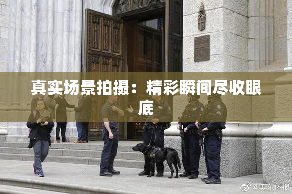 真实场景拍摄：精彩瞬间尽收眼底
