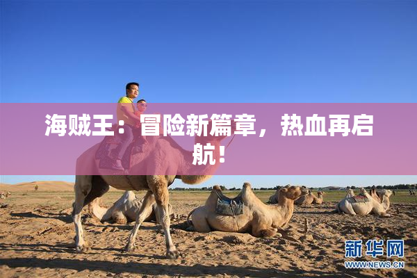 海贼王：冒险新篇章，热血再启航！