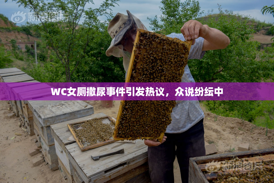 WC女厕撒尿事件引发热议，众说纷纭中