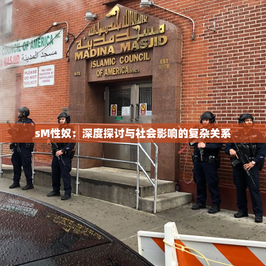 sM性奴：深度探讨与社会影响的复杂关系