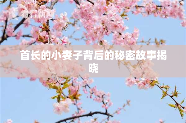 首长的小妻子背后的秘密故事揭晓