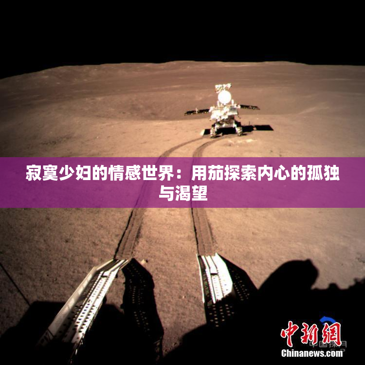 寂寞少妇的情感世界：用茄探索内心的孤独与渴望