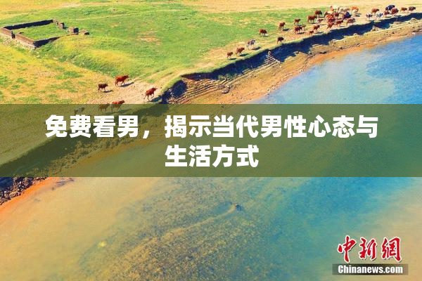 免费看男，揭示当代男性心态与生活方式