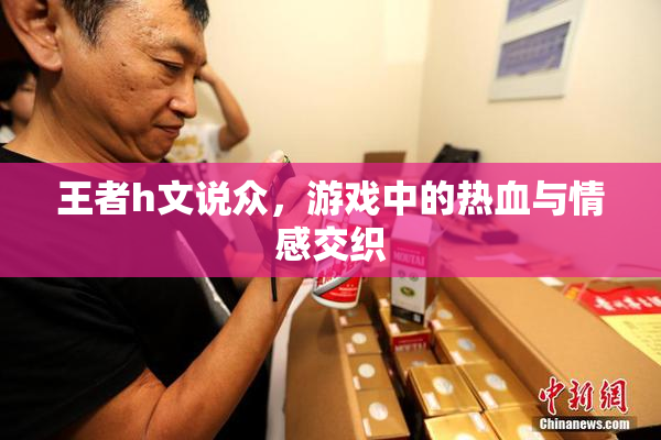 王者h文说众，游戏中的热血与情感交织