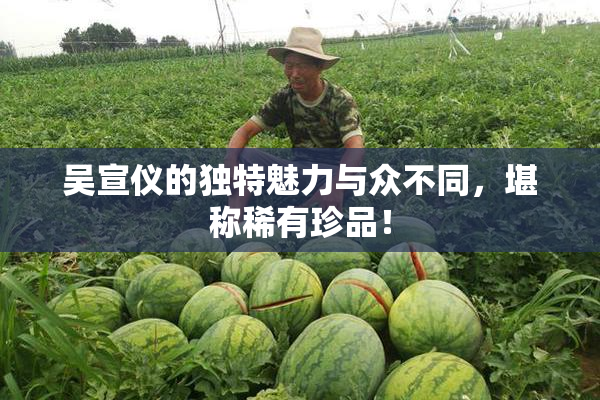 吴宣仪的独特魅力与众不同，堪称稀有珍品！